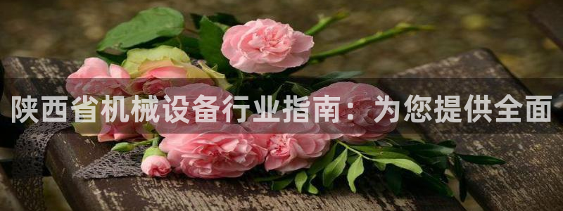 ag老玩家