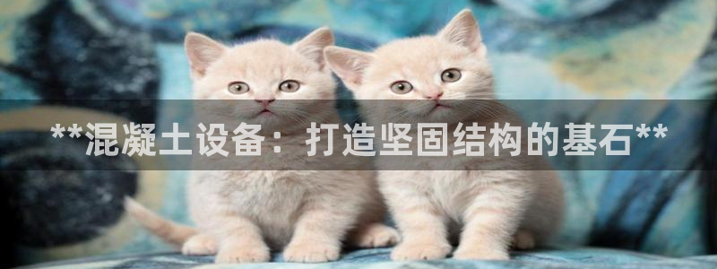 九游会倒闭