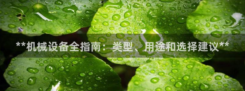 九游会官网登入