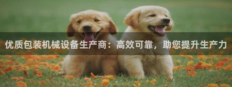 ag九游会vip8