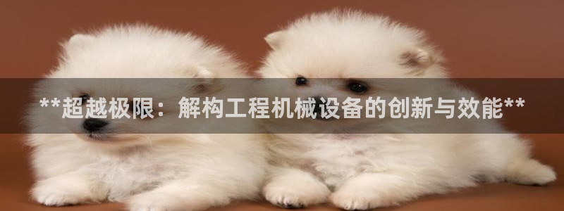 九游会平台网址