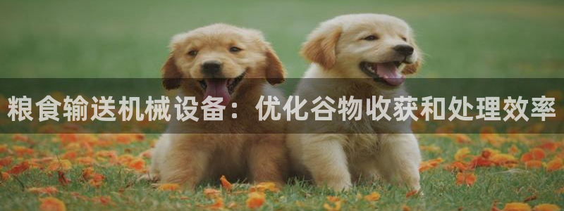 九游会个人中心登录页面