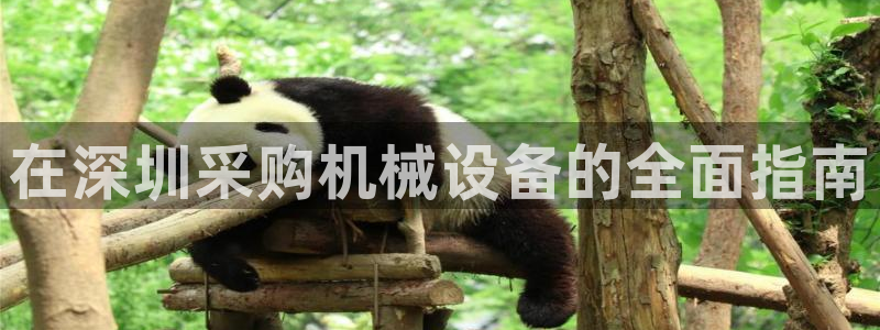 九游会网址多少