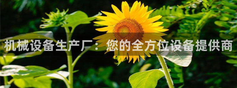 j9九游会真人游戏第一品牌捕鱼王