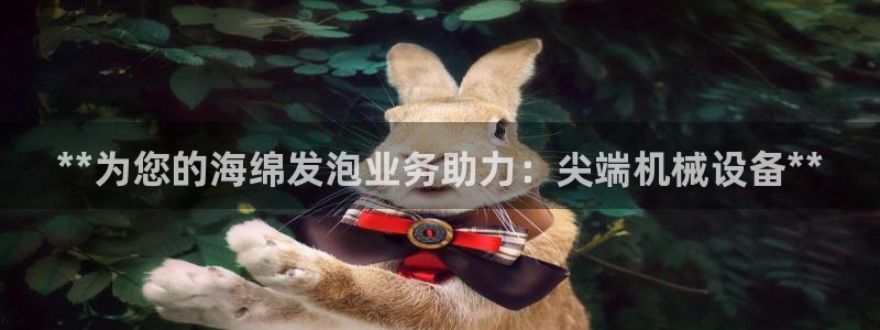 九游会视讯,九游会视讯厅