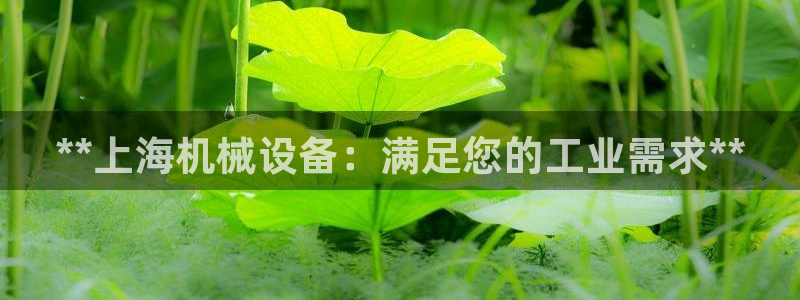 九游会平台app