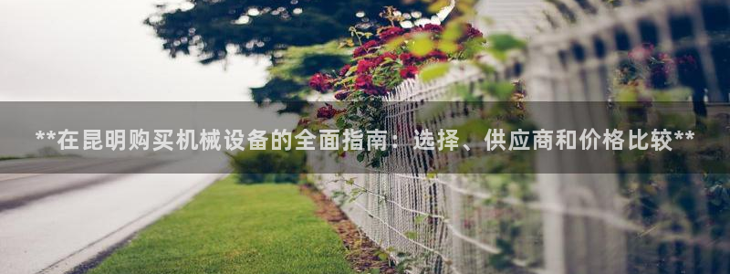 j9官网豪华游