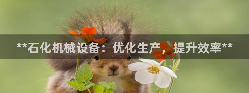 ag九游会老哥