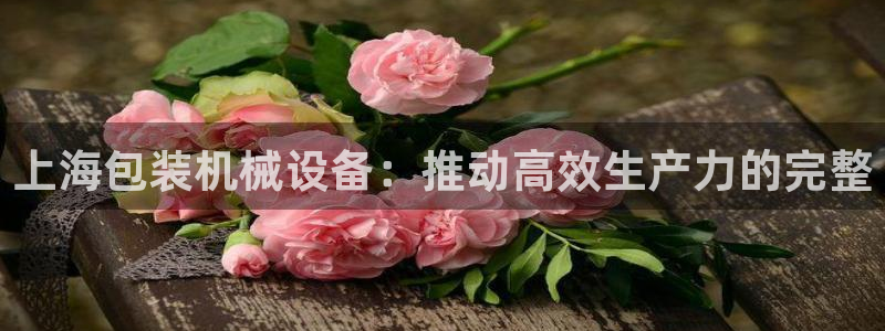 九游会游戏真人