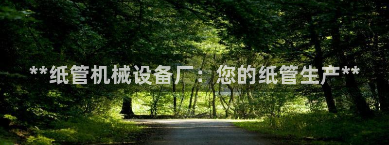 九游会上不去了