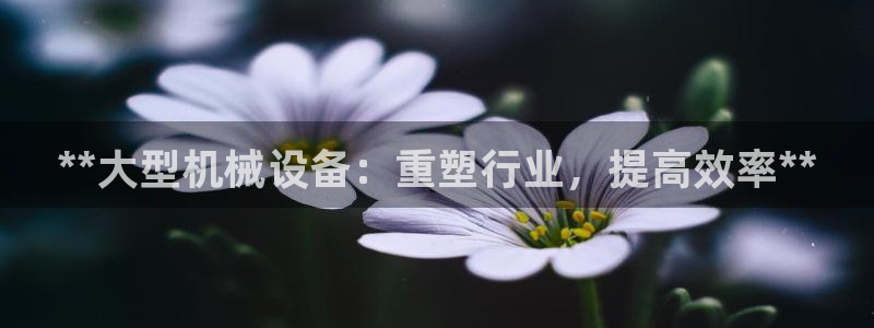 9游会老哥