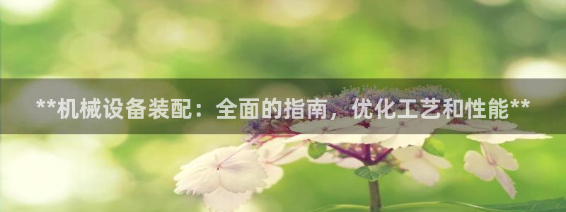 J9九游会老网站