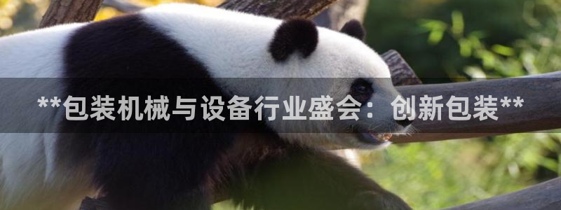九游会网站网