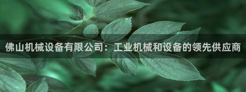 J9九游会网站
