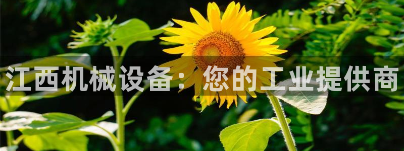 九游会官网登录中心官网