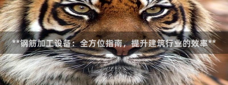 九游会首页进入