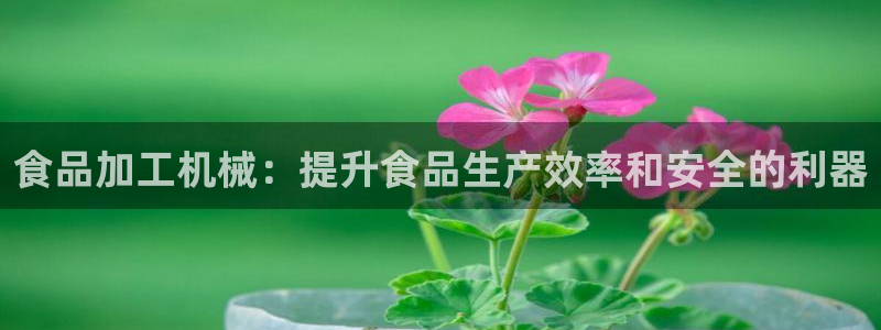 j9九游会官网入口