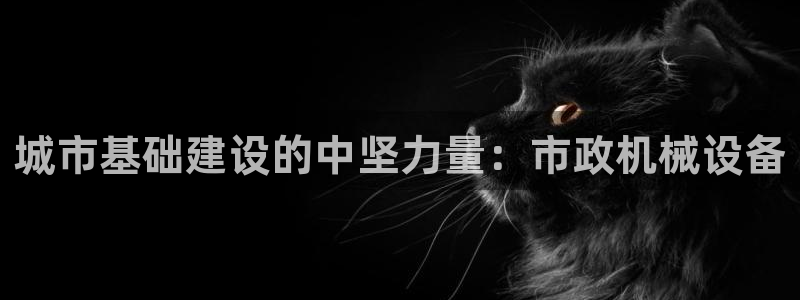 九游会ag亚洲