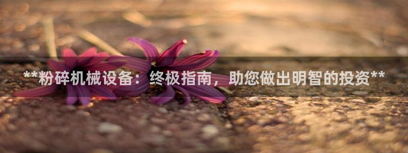 九游会ag官方平台
