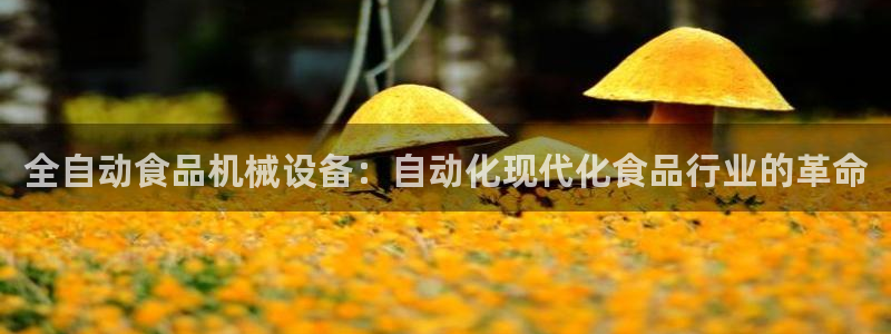j9九游会首页入口