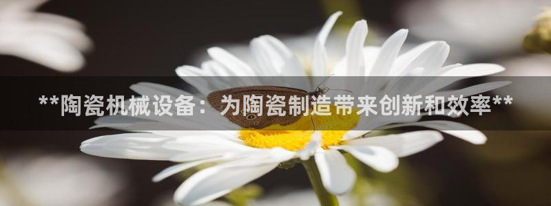 ag老队