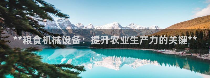 j9九游会怎么样