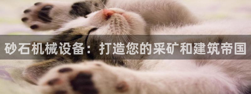 ag老帅百度百科