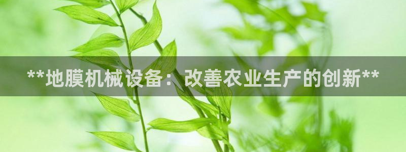 j9九游会官网入口