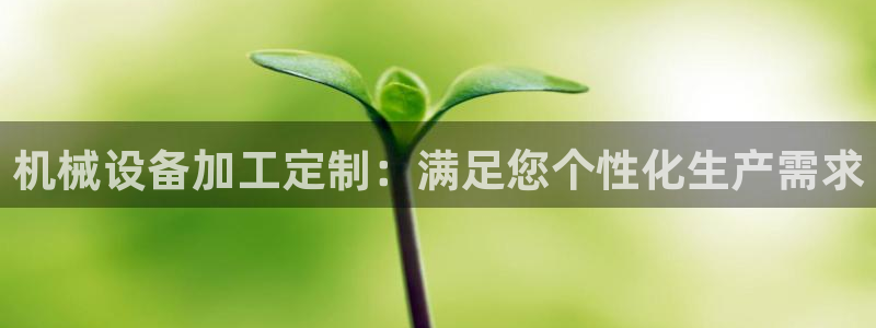 九游会j9