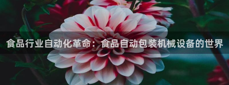 九游会官网