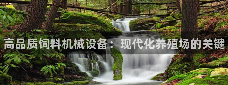 九游会老哥必备的俱乐部交流区