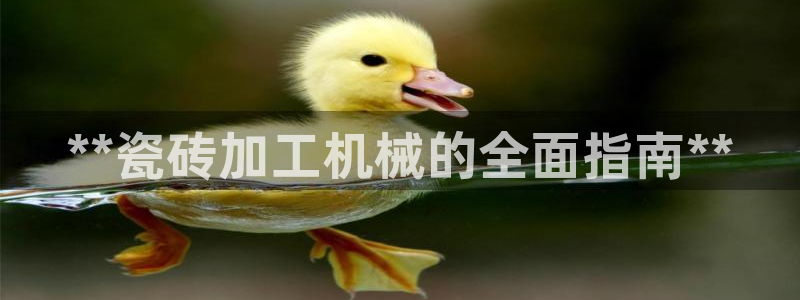 九游会agapp