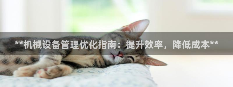 j9p下载