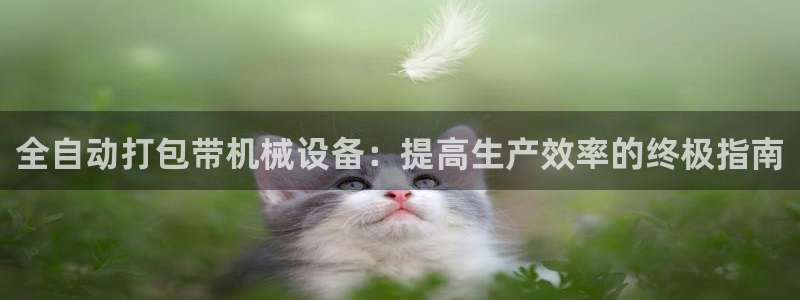 9游会ag