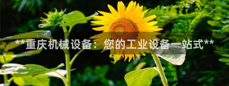 九游会视讯,九游会视讯厅