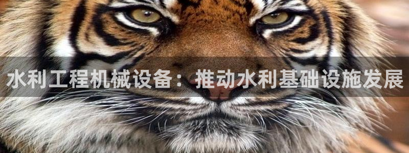 ag九游会app下载版官网正版