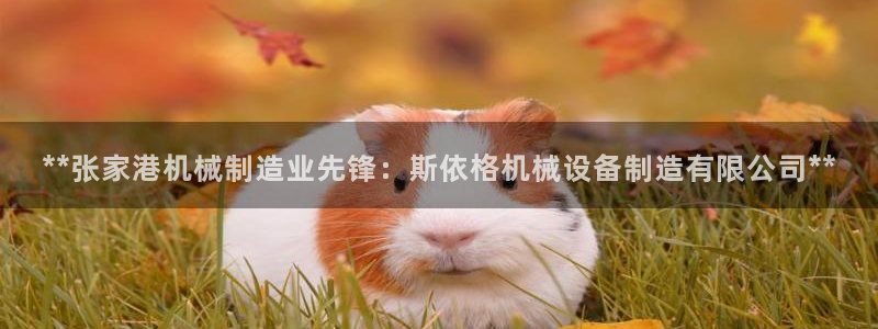 9游会旗舰