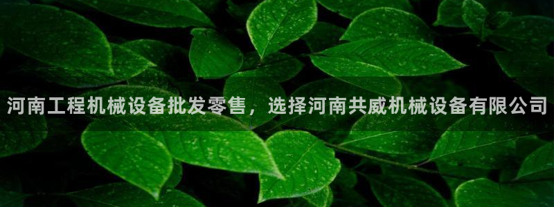 九游J9真人游戏第一品牌