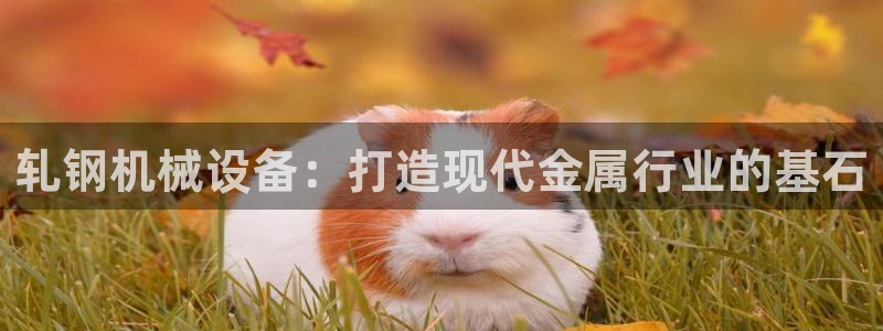 j9九游会怎么样