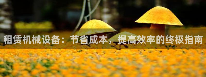九游会官网入口ag亚洲
