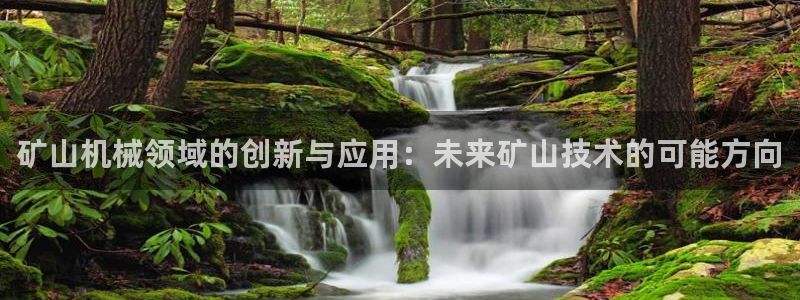 J9九游会网站
