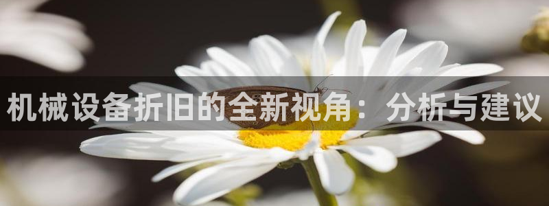 j9九游会直营