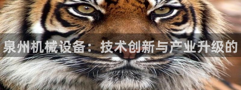 九游会是干嘛的软件