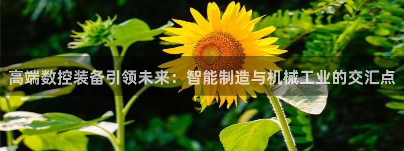 九游会网址九
