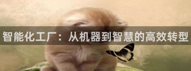 j9九游会老哥俱乐部官网