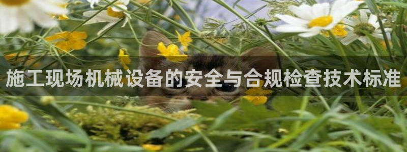 九游会第一真人视频游