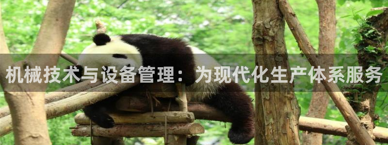 九游会官网网址