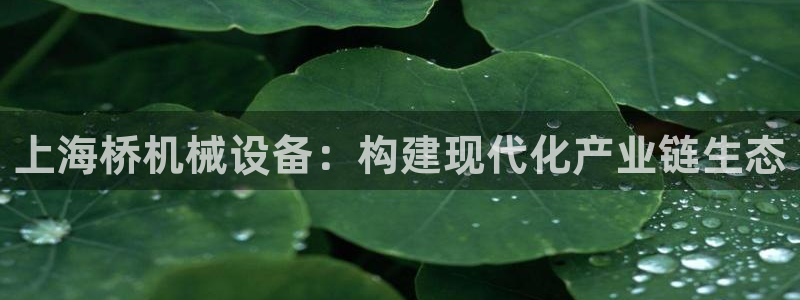 九游会官方app