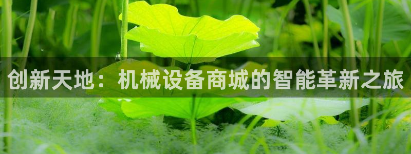 九游会登录网址
