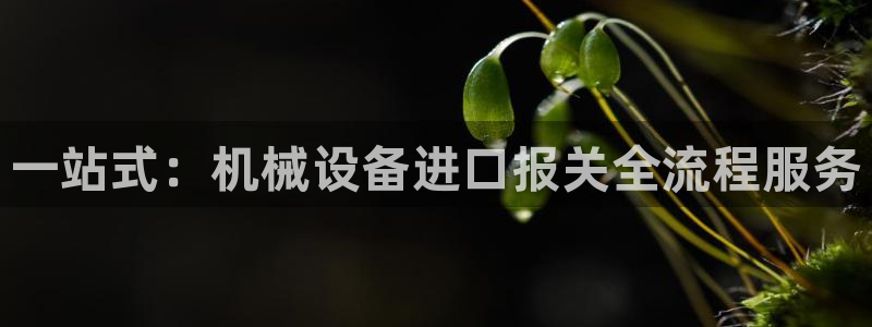 九游会官网在线登录入口